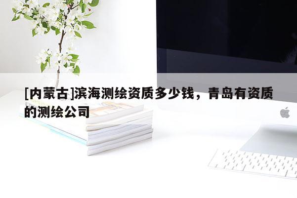 [內(nèi)蒙古]濱海測(cè)繪資質(zhì)多少錢(qián)，青島有資質(zhì)的測(cè)繪公司